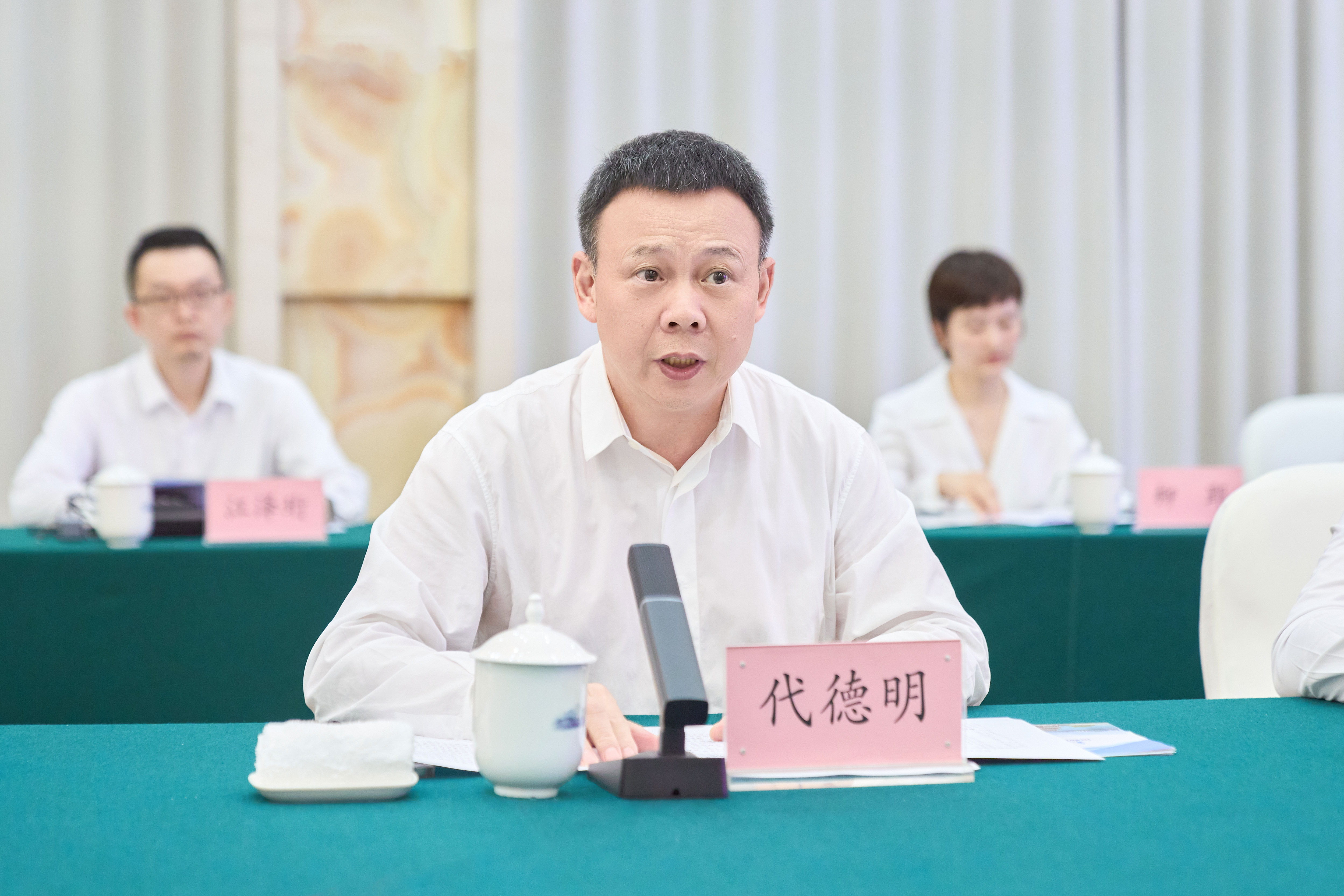楚能新能源（襄阳）锂电池产业园项目签约仪式 (代总) (4).jpg